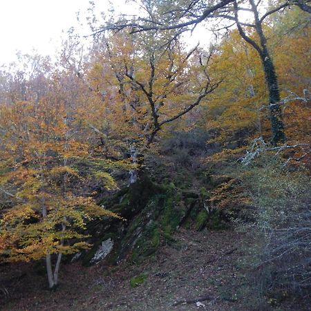 Alojamiento Rural Fuente Del Arca Pradena del Rincon Eksteriør billede